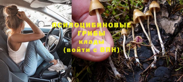 мдпв Верея