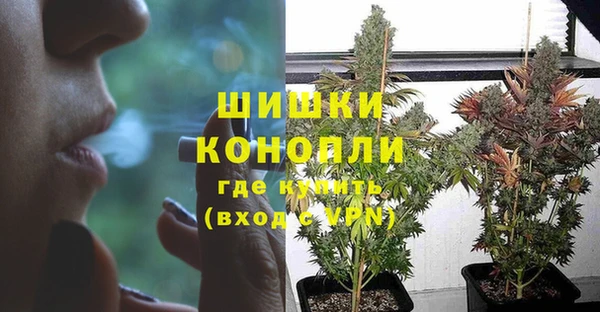 мдпв Верея