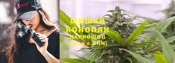 мдпв Верея