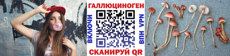 Псилоцибиновые грибы Psilocybine cubensis  закладка  Альметьевск 